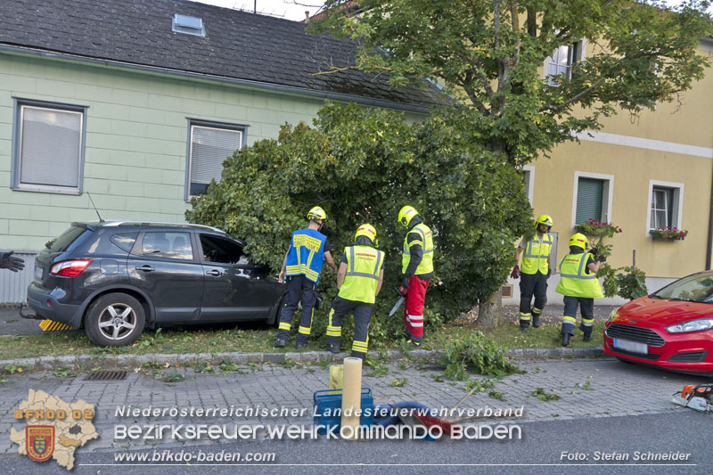 20250822_Pkw Lenkerin prallt im Ortsgebiet frontal gegen Baum Foto: Stefan Schneider BFKDO BADEN 20250822_Pkw Lenkerin prallt im Ortsgebiet frontal gegen Baum Foto: Stefan Schneider BFKDO BADEN