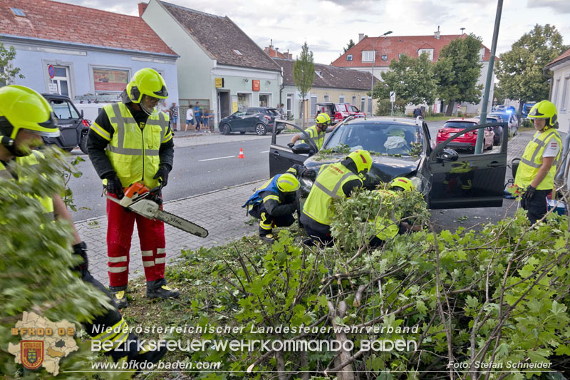 20250822_Pkw Lenkerin prallt im Ortsgebiet frontal gegen Baum Foto: Stefan Schneider BFKDO BADEN 20250822_Pkw Lenkerin prallt im Ortsgebiet frontal gegen Baum Foto: Stefan Schneider BFKDO BADEN