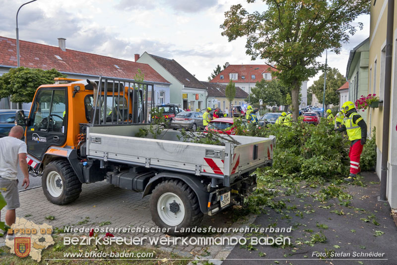 20250822_Pkw Lenkerin prallt im Ortsgebiet frontal gegen Baum Foto: Stefan Schneider BFKDO BADEN 20250822_Pkw Lenkerin prallt im Ortsgebiet frontal gegen Baum Foto: Stefan Schneider BFKDO BADEN