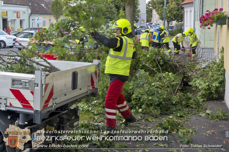 20250822_Pkw Lenkerin prallt im Ortsgebiet frontal gegen Baum Foto: Stefan Schneider BFKDO BADEN 20250822_Pkw Lenkerin prallt im Ortsgebiet frontal gegen Baum Foto: Stefan Schneider BFKDO BADEN