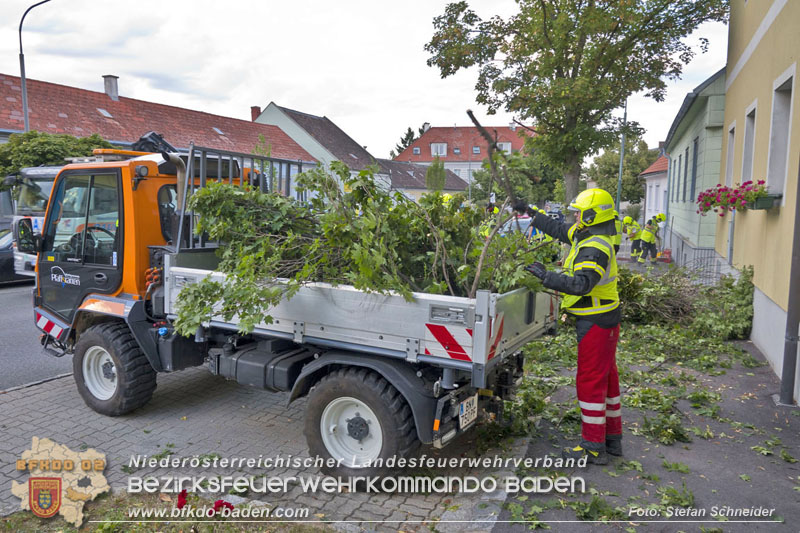 20250822_Pkw Lenkerin prallt im Ortsgebiet frontal gegen Baum Foto: Stefan Schneider BFKDO BADEN 20250822_Pkw Lenkerin prallt im Ortsgebiet frontal gegen Baum Foto: Stefan Schneider BFKDO BADEN