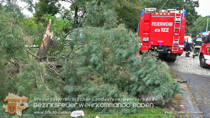 20250910_Verkehrsunfall auf der A21 mit tdlichem Ausgang   Foto: Stefan Schneider BFKDO BADEN