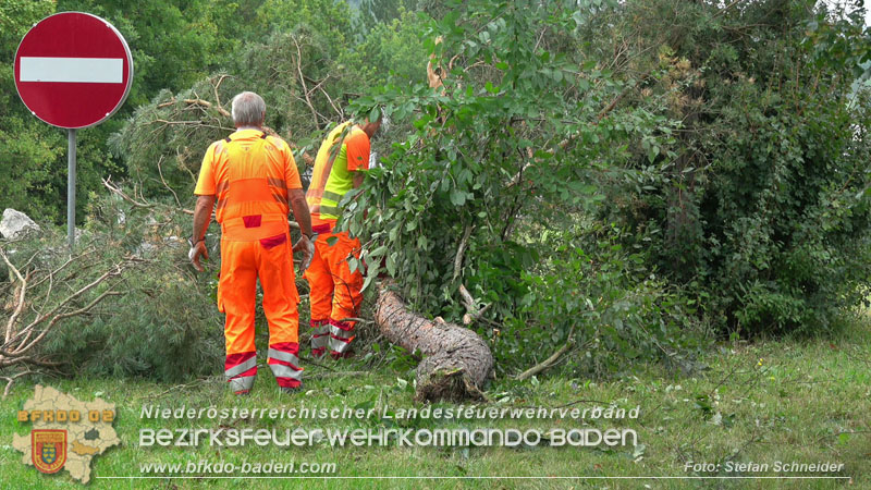 20250910_Verkehrsunfall auf der A21 mit tdlichem Ausgang   Foto: Stefan Schneider BFKDO BADEN