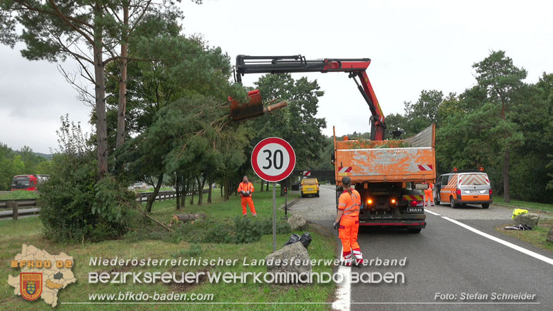 20250910_Verkehrsunfall auf der A21 mit tdlichem Ausgang   Foto: Stefan Schneider BFKDO BADEN