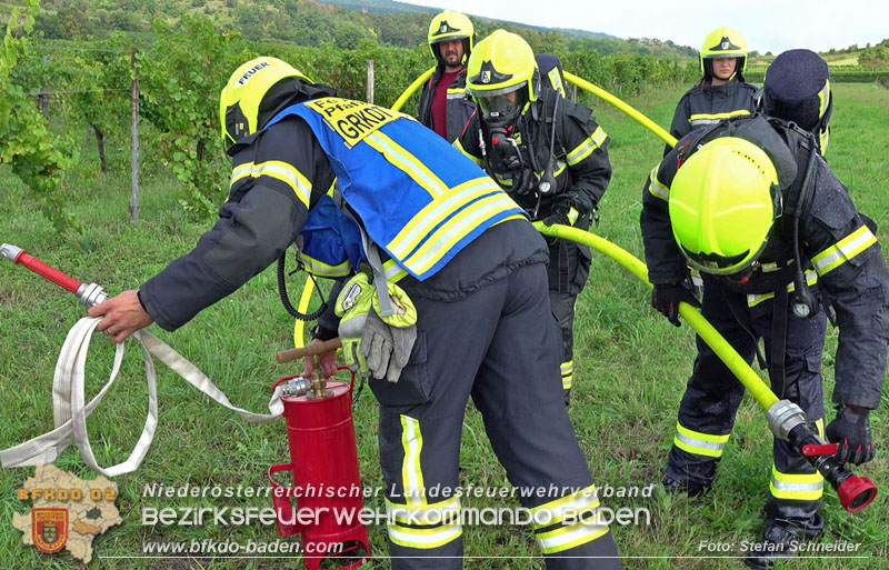 20250913_Brand eines Stromerzeugers in den Weingärten bei Pfaffstätten Foto: Stefan Schneider 20250913_Brand eines Stromerzeugers in den Weingärten bei Pfaffstätten Foto: Stefan Schneider