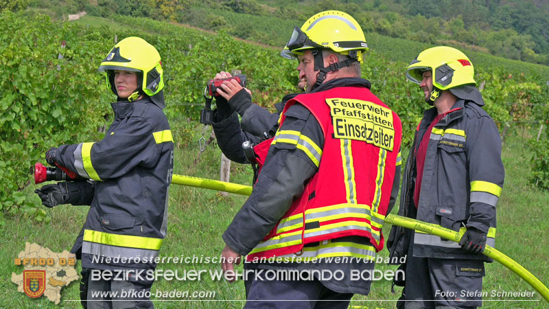 20250913_Brand eines Stromerzeugers in den Weingärten bei Pfaffstätten Foto: Stefan Schneider 20250913_Brand eines Stromerzeugers in den Weingärten bei Pfaffstätten Foto: Stefan Schneider