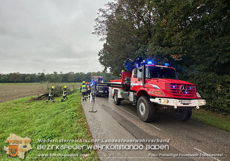 20250924_Verkehrsunfall in Tribuswinkel Leesdorferstrae Foto: FF Tribuswinkel