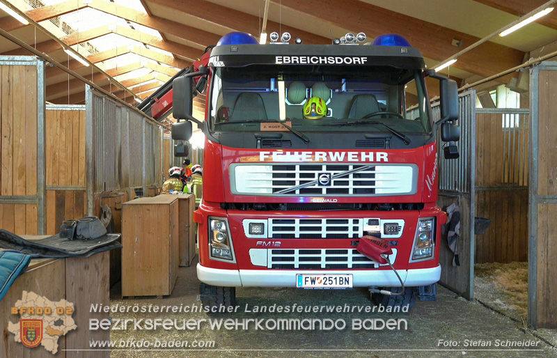 20251004_Pferd benötigt am "Welttierschutztag" die Hilfe der Feuerwehr Ebreichsdorf Foto: Stefan Schneider BFKDO BADEN 20251004_Pferd benötigt am "Welttierschutztag" die Hilfe der Feuerwehr Ebreichsdorf Foto: Stefan Schneider BFKDO BADEN