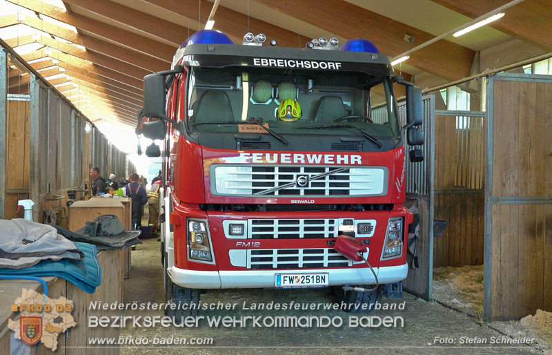 20251004_Pferd benötigt am "Welttierschutztag" die Hilfe der Feuerwehr Ebreichsdorf Foto: Stefan Schneider BFKDO BADEN 20251004_Pferd benötigt am "Welttierschutztag" die Hilfe der Feuerwehr Ebreichsdorf Foto: Stefan Schneider BFKDO BADEN