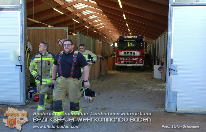20251004_Pferd benötigt am "Welttierschutztag" die Hilfe der Feuerwehr Ebreichsdorf Foto: Stefan Schneider BFKDO BADEN 20251004_Pferd benötigt am "Welttierschutztag" die Hilfe der Feuerwehr Ebreichsdorf Foto: Stefan Schneider BFKDO BADEN