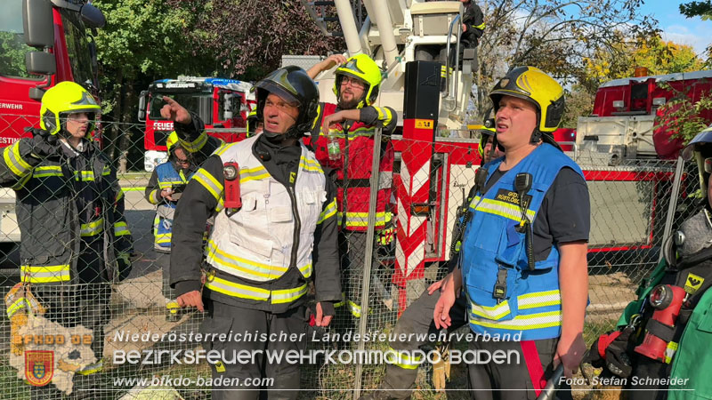 20251012_Wohnhausbrand in Schönau fordert Einsatzkräfte Foto: Stefan Schneider BFKDO BADEN 20251012_Wohnhausbrand in Schönau fordert Einsatzkräfte Foto: Stefan Schneider BFKDO BADEN