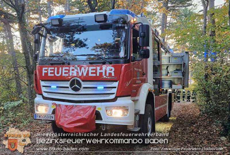 20251026_Kater "Minka" in Not Foto: FF Lindabrunn 20251026_Kater "Minka" in Not Foto: FF Lindabrunn