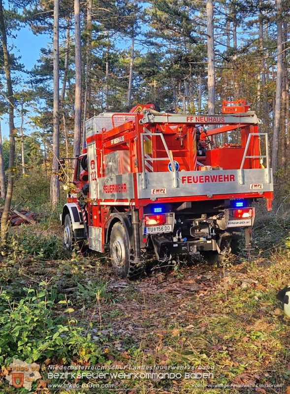 20251026_Kater "Minka" in Not Foto: FF Lindabrunn 20251026_Kater "Minka" in Not Foto: FF Lindabrunn