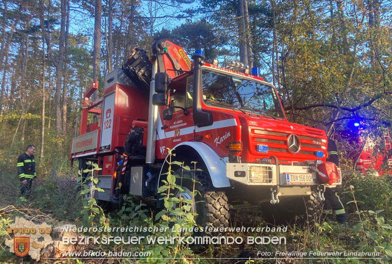 20251026_Kater "Minka" in Not Foto: FF Lindabrunn 20251026_Kater "Minka" in Not Foto: FF Lindabrunn