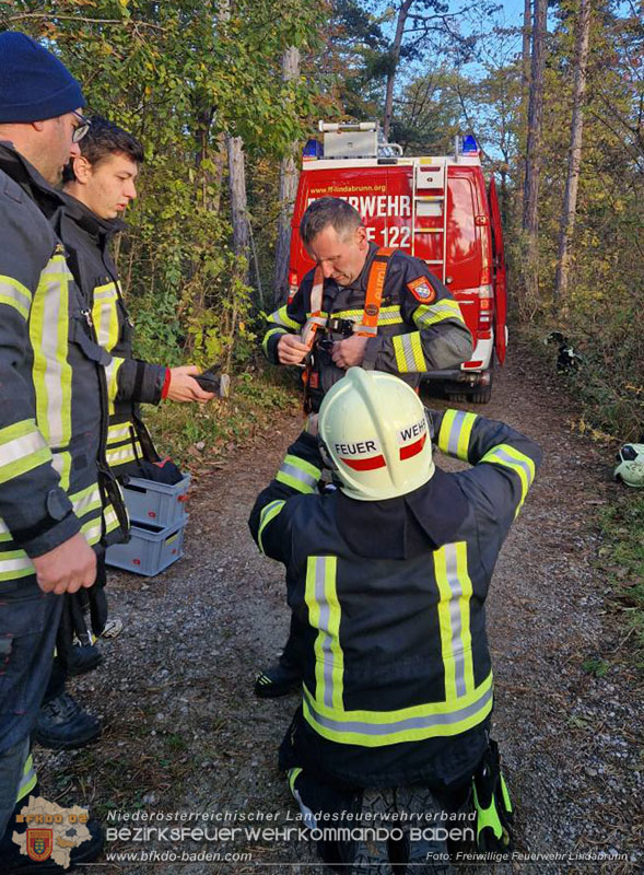 20251026_Kater "Minka" in Not Foto: FF Lindabrunn 20251026_Kater "Minka" in Not Foto: FF Lindabrunn