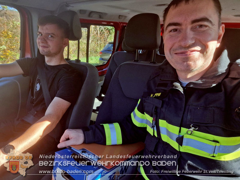 20251107_Feuerwehr hilft verletzten Falken  Foto: FF St.Veit/Triesting