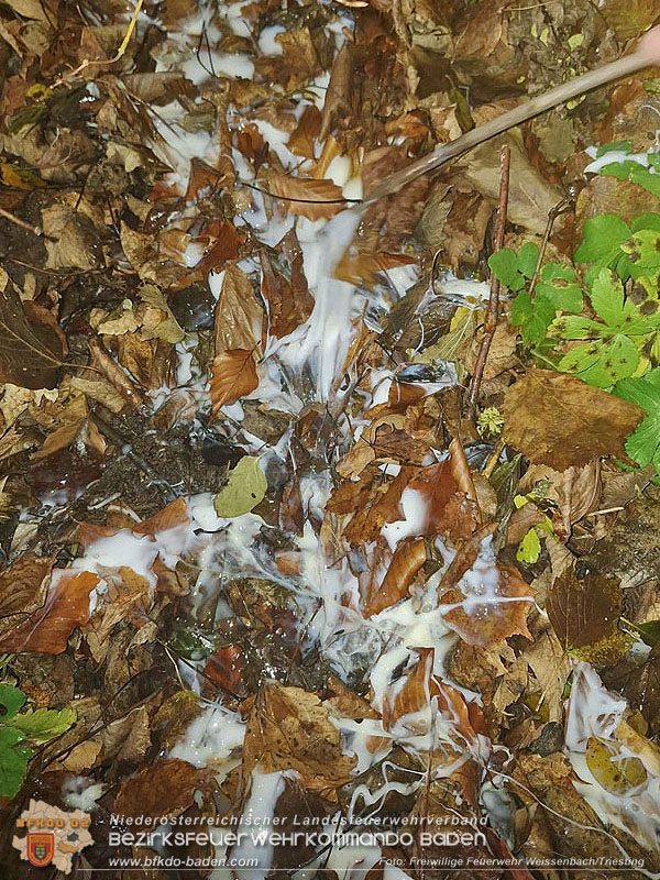 20251114_Umwelteinsatz in Weissenbach - Zähflüssiges Medium aus Regenwasserkanal ausgetreten Foto: FF Weissenbach/Triesting 20251114_Umwelteinsatz in Weissenbach - Zähflüssiges Medium aus Regenwasserkanal ausgetreten Foto: FF Weissenbach/Triesting