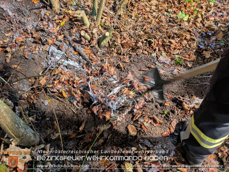 20251114_Umwelteinsatz in Weissenbach - Zähflüssiges Medium aus Regenwasserkanal ausgetreten Foto: FF Weissenbach/Triesting 20251114_Umwelteinsatz in Weissenbach - Zähflüssiges Medium aus Regenwasserkanal ausgetreten Foto: FF Weissenbach/Triesting