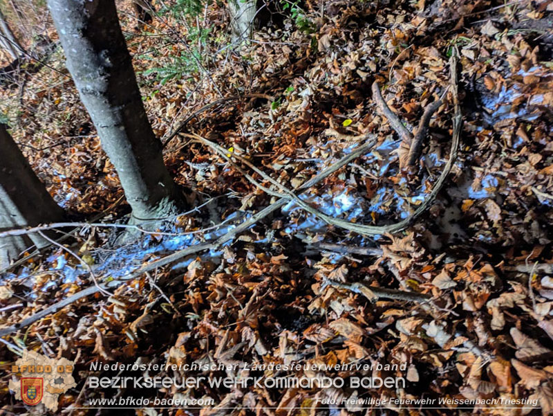 20251114_Umwelteinsatz in Weissenbach - Zähflüssiges Medium aus Regenwasserkanal ausgetreten Foto: FF Weissenbach/Triesting 20251114_Umwelteinsatz in Weissenbach - Zähflüssiges Medium aus Regenwasserkanal ausgetreten Foto: FF Weissenbach/Triesting