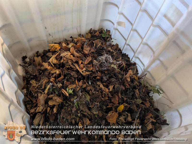 20251114_Umwelteinsatz in Weissenbach - Zähflüssiges Medium aus Regenwasserkanal ausgetreten Foto: FF Weissenbach/Triesting 20251114_Umwelteinsatz in Weissenbach - Zähflüssiges Medium aus Regenwasserkanal ausgetreten Foto: FF Weissenbach/Triesting