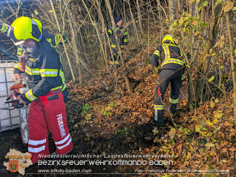 20251114_Umwelteinsatz in Weissenbach - Zähflüssiges Medium aus Regenwasserkanal ausgetreten Foto: FF Weissenbach/Triesting 20251114_Umwelteinsatz in Weissenbach - Zähflüssiges Medium aus Regenwasserkanal ausgetreten Foto: FF Weissenbach/Triesting