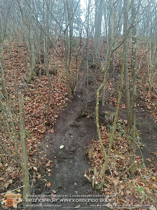 20251114_Umwelteinsatz in Weissenbach - Zähflüssiges Medium aus Regenwasserkanal ausgetreten Foto: FF Weissenbach/Triesting 20251114_Umwelteinsatz in Weissenbach - Zähflüssiges Medium aus Regenwasserkanal ausgetreten Foto: FF Weissenbach/Triesting