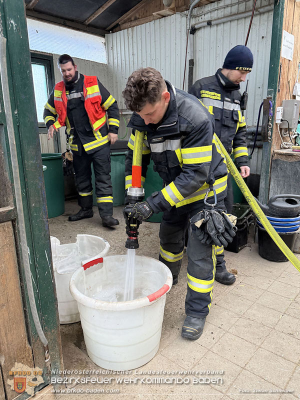 20251118_Notwasserversorgung fr Pferde eines Reitstalls in Oberwaltersdorf   Foto: Stefan  Schneider BFKDO BADEN