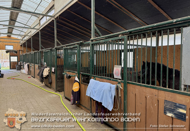 20251118_Notwasserversorgung fr Pferde eines Reitstalls in Oberwaltersdorf   Foto: Stefan  Schneider BFKDO BADEN