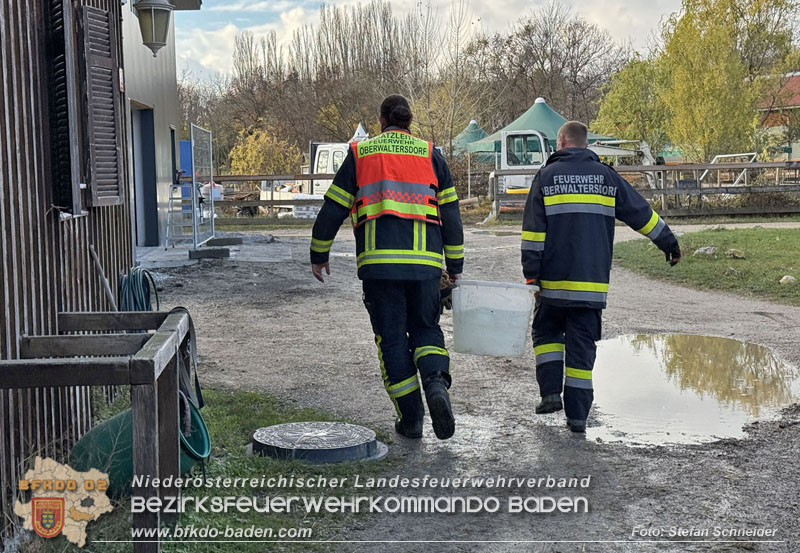 20251118_Notwasserversorgung fr Pferde eines Reitstalls in Oberwaltersdorf   Foto: Stefan  Schneider BFKDO BADEN