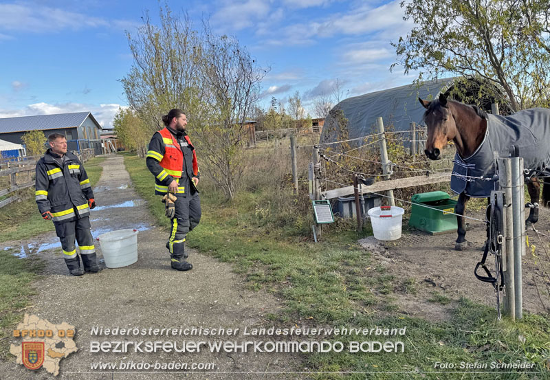 20251118_Notwasserversorgung fr Pferde eines Reitstalls in Oberwaltersdorf   Foto: Stefan  Schneider BFKDO BADEN