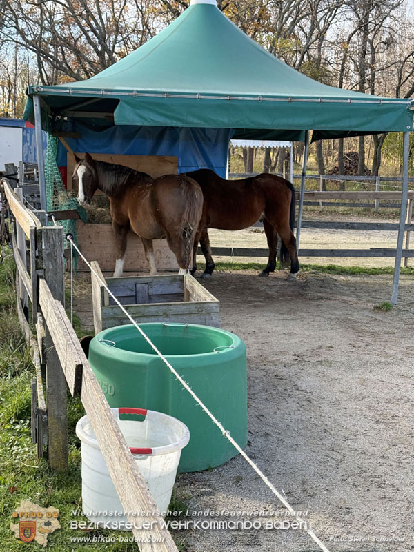 20251118_Notwasserversorgung fr Pferde eines Reitstalls in Oberwaltersdorf   Foto: Stefan  Schneider BFKDO BADEN