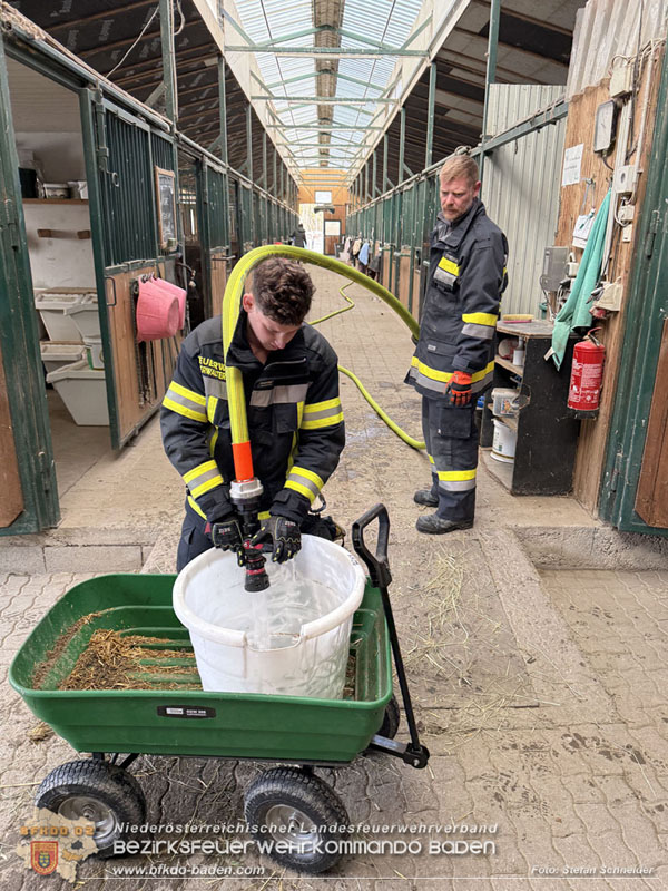 20251118_Notwasserversorgung fr Pferde eines Reitstalls in Oberwaltersdorf   Foto: Stefan  Schneider BFKDO BADEN