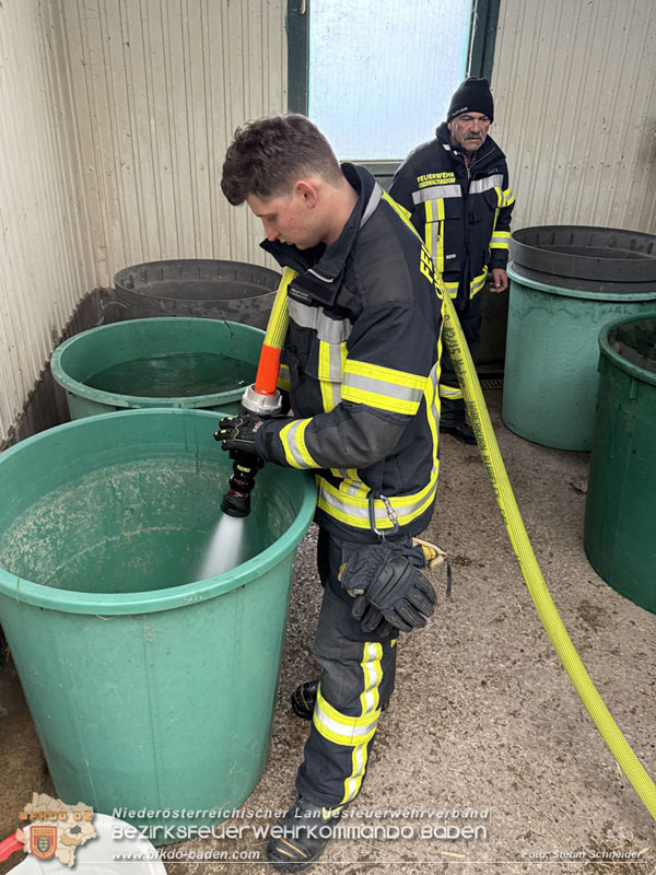 20251118_Notwasserversorgung fr Pferde eines Reitstalls in Oberwaltersdorf   Foto: Stefan  Schneider BFKDO BADEN