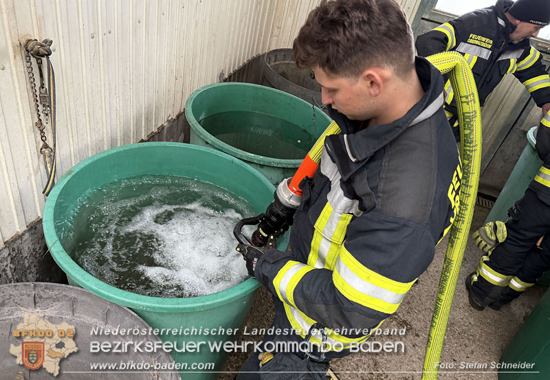 20251118_Notwasserversorgung fr Pferde eines Reitstalls in Oberwaltersdorf   Foto: Stefan  Schneider BFKDO BADEN