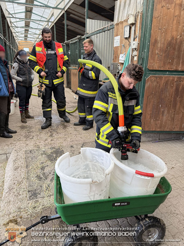 20251118_Notwasserversorgung fr Pferde eines Reitstalls in Oberwaltersdorf   Foto: Stefan  Schneider BFKDO BADEN