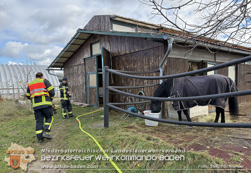 20251118_Notwasserversorgung fr Pferde eines Reitstalls in Oberwaltersdorf   Foto: Stefan  Schneider BFKDO BADEN