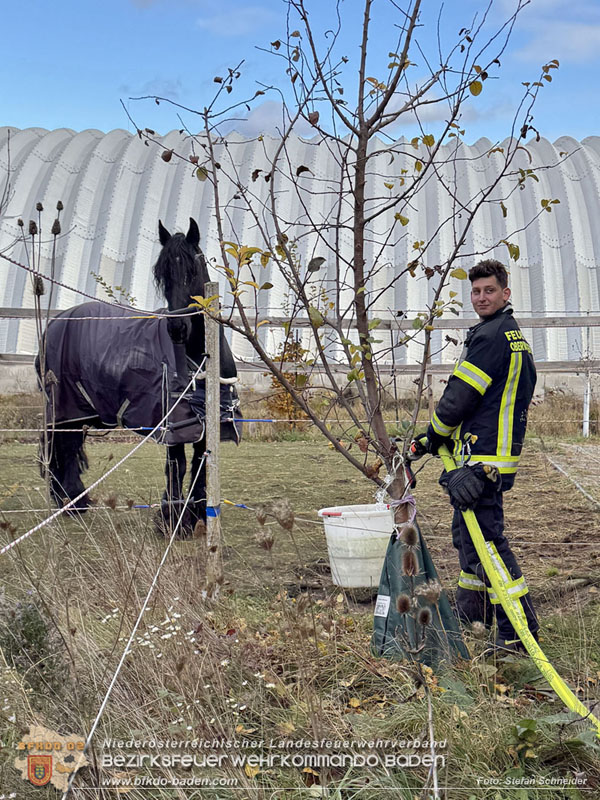 20251118_Notwasserversorgung fr Pferde eines Reitstalls in Oberwaltersdorf   Foto: Stefan  Schneider BFKDO BADEN