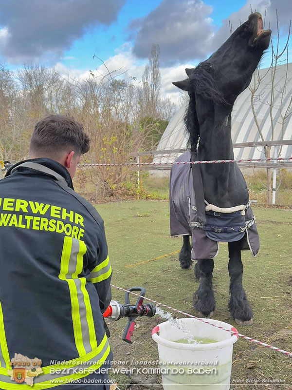 20251118_Notwasserversorgung fr Pferde eines Reitstalls in Oberwaltersdorf   Foto: Stefan  Schneider BFKDO BADEN