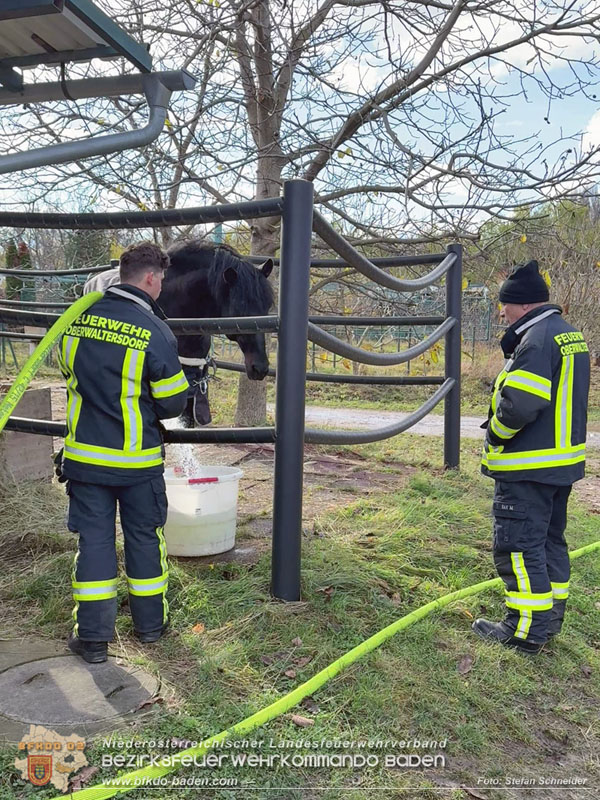 20251118_Notwasserversorgung fr Pferde eines Reitstalls in Oberwaltersdorf   Foto: Stefan  Schneider BFKDO BADEN