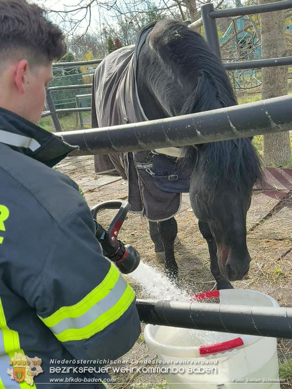 20251118_Notwasserversorgung fr Pferde eines Reitstalls in Oberwaltersdorf   Foto: Stefan  Schneider BFKDO BADEN