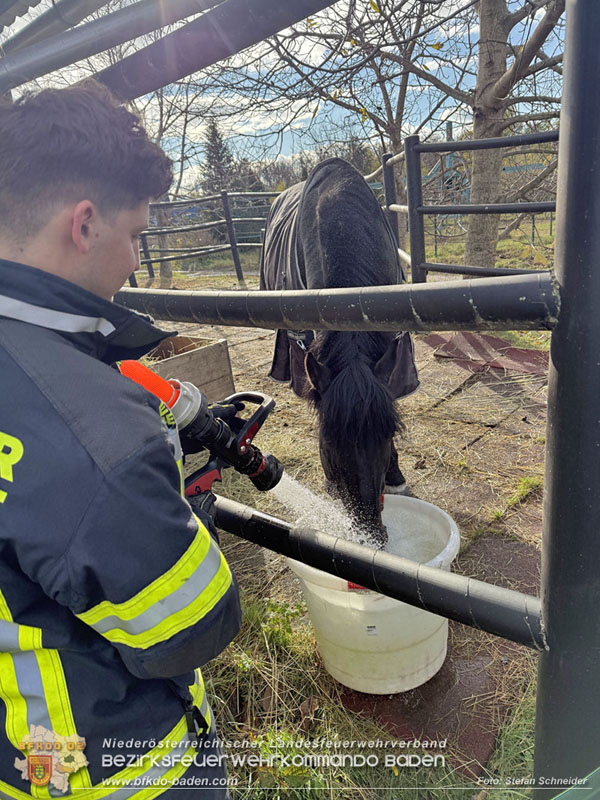 20251118_Notwasserversorgung fr Pferde eines Reitstalls in Oberwaltersdorf   Foto: Stefan  Schneider BFKDO BADEN