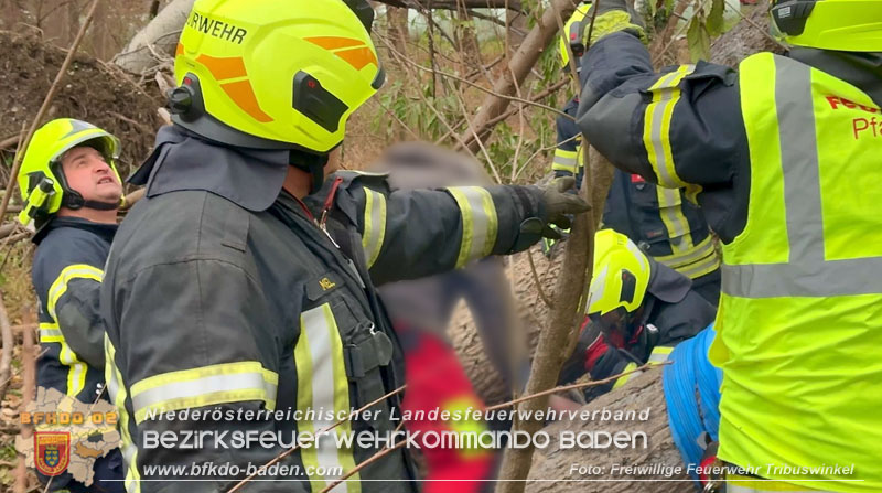 20251127_Person in Tribuswinkel unter Baum eingeklemmt - Feuerwehr kann Mann retten Foto: Thomas Rsach FF Tribuswinkel 20251127_Person in Tribuswinkel unter Baum eingeklemmt - Feuerwehr kann Mann retten Foto: Thomas Rsach FF Tribuswinkel