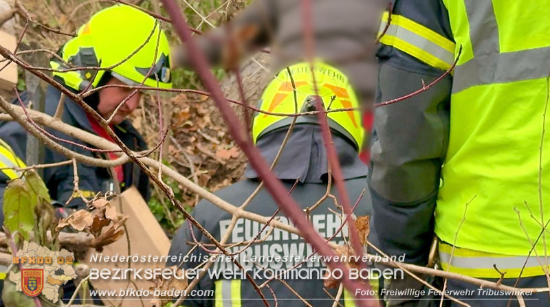 20251127_Person in Tribuswinkel unter Baum eingeklemmt - Feuerwehr kann Mann retten Foto: Thomas Rsach FF Tribuswinkel 20251127_Person in Tribuswinkel unter Baum eingeklemmt - Feuerwehr kann Mann retten Foto: Thomas Rsach FF Tribuswinkel