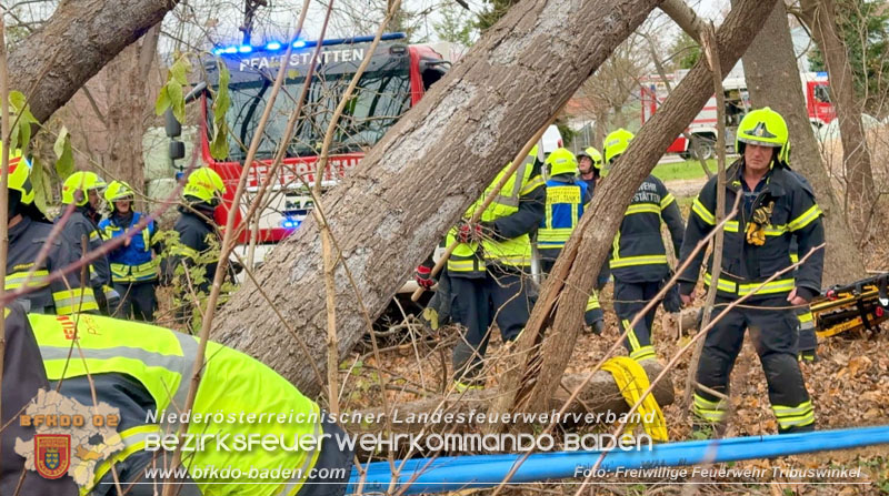 20251127_Person in Tribuswinkel unter Baum eingeklemmt - Feuerwehr kann Mann retten Foto: Thomas Rsach FF Tribuswinkel 20251127_Person in Tribuswinkel unter Baum eingeklemmt - Feuerwehr kann Mann retten Foto: Thomas Rsach FF Tribuswinkel