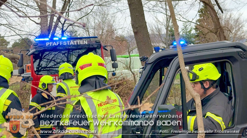 20251127_Person in Tribuswinkel unter Baum eingeklemmt - Feuerwehr kann Mann retten Foto: Thomas Rsach FF Tribuswinkel 20251127_Person in Tribuswinkel unter Baum eingeklemmt - Feuerwehr kann Mann retten Foto: Thomas Rsach FF Tribuswinkel