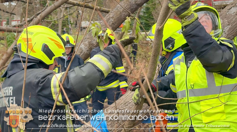 20251127_Person in Tribuswinkel unter Baum eingeklemmt - Feuerwehr kann Mann retten Foto: Thomas Rsach FF Tribuswinkel 20251127_Person in Tribuswinkel unter Baum eingeklemmt - Feuerwehr kann Mann retten Foto: Thomas Rsach FF Tribuswinkel