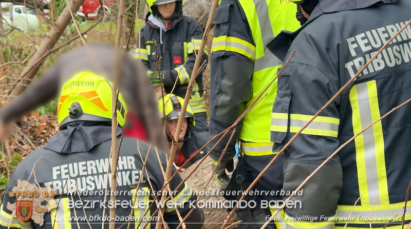 20251127_Person in Tribuswinkel unter Baum eingeklemmt - Feuerwehr kann Mann retten Foto: Thomas Rsach FF Tribuswinkel 20251127_Person in Tribuswinkel unter Baum eingeklemmt - Feuerwehr kann Mann retten Foto: Thomas Rsach FF Tribuswinkel