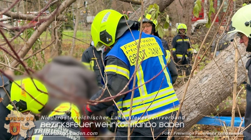 20251127_Person in Tribuswinkel unter Baum eingeklemmt - Feuerwehr kann Mann retten Foto: Thomas Rsach FF Tribuswinkel 20251127_Person in Tribuswinkel unter Baum eingeklemmt - Feuerwehr kann Mann retten Foto: Thomas Rsach FF Tribuswinkel