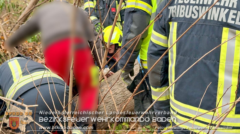 20251127_Person in Tribuswinkel unter Baum eingeklemmt - Feuerwehr kann Mann retten Foto: Thomas Rsach FF Tribuswinkel 20251127_Person in Tribuswinkel unter Baum eingeklemmt - Feuerwehr kann Mann retten Foto: Thomas Rsach FF Tribuswinkel