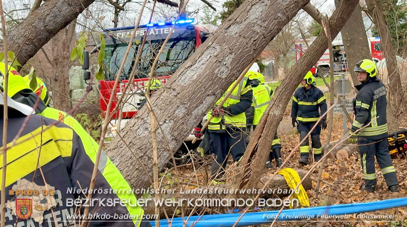 20251127_Person in Tribuswinkel unter Baum eingeklemmt - Feuerwehr kann Mann retten Foto: Thomas Rsach FF Tribuswinkel 20251127_Person in Tribuswinkel unter Baum eingeklemmt - Feuerwehr kann Mann retten Foto: Thomas Rsach FF Tribuswinkel